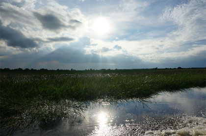 Cung đường lý tưởng khám phá miền tây mùa nước nổi