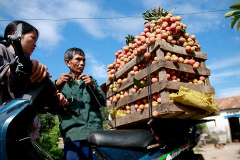 Học lại triết lý kinh doanh của Bạch Thái Bưởi
