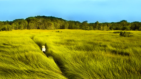 Hội chẩn cho "con bệnh" điện ảnh Việt Nam