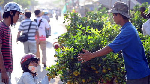 Đón giao thừa trên sông