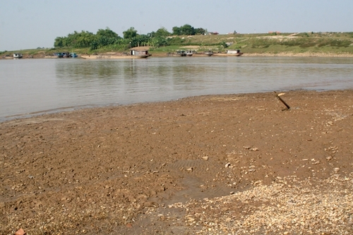 Sông Hồng cạn trơ đáy