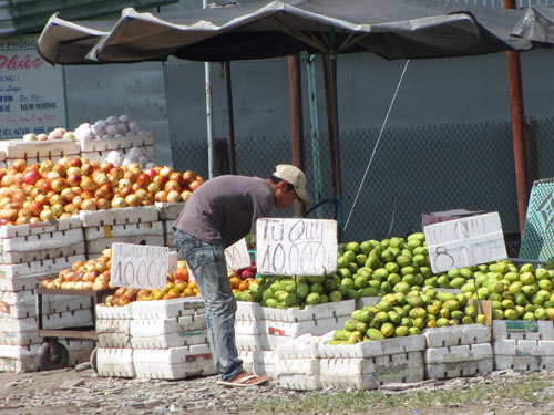 Trái cây Trung Quốc tràn về quê