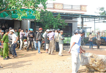 Muốn lượm cục đá cũng phải trình, xin!?