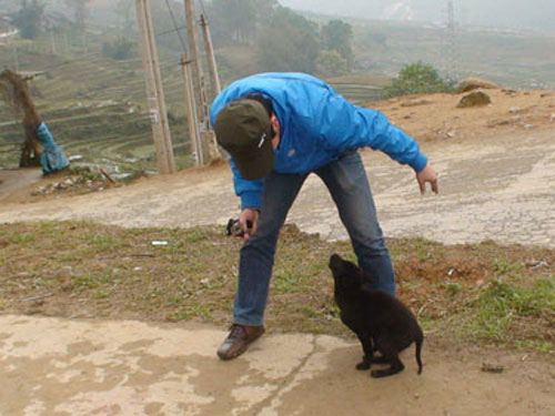 Đi "săn" khuyển Mông