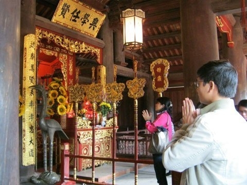 Rung đùi chọn tour tết