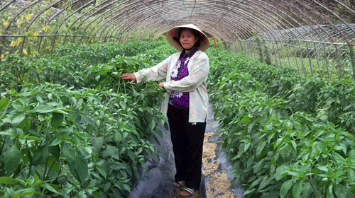 Làm dâu xứ Hàn - Kỳ 5