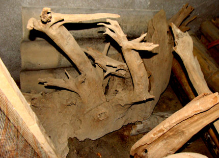 Người Hán đã tàn sát đại ngàn ngọc am như thế nào?