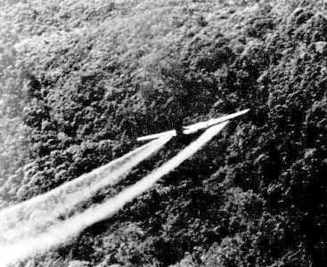 Chiến dịch rải chất da cam của Mỹ ở Việt Nam