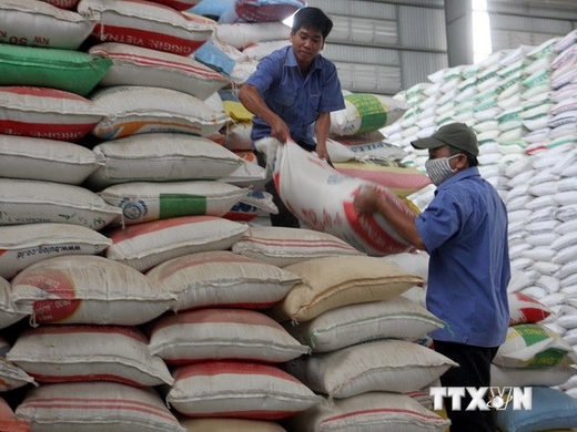 Cung cấp gần 800 tấn gạo cứu đói cho tỉnh Ninh Thuận