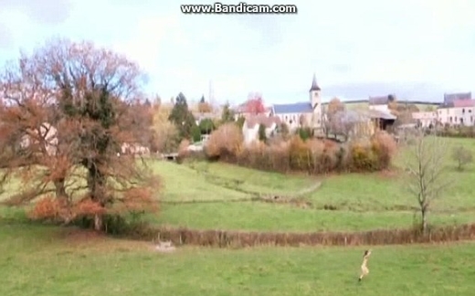 Con loăng quăng khỏa thân chạy trên truyền hình