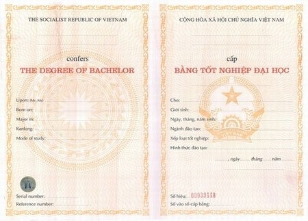 Bằng đại học có lỗi?
