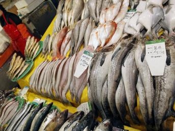 Hàn Quốc chất vấn Nhật Bản về vụ thải nước nhiễm phóng xạ ra biển