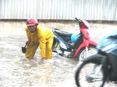 Canh mưa giữa phố