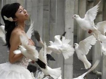 Điểm báo Quốc tế