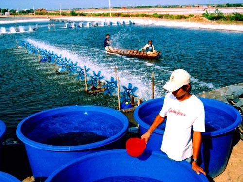 Doanh nghiệp FDI lấn lướt trong thủy sản