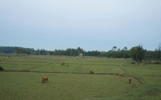 Đói khổ chực chờ