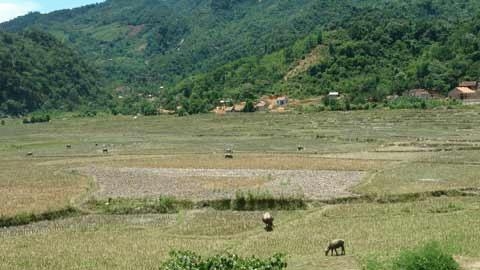 Thực trạng khai khoáng ở miền Tây Nghệ An: Kỳ 5