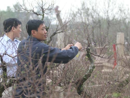 Thời tiết ủng hộ người dân đón Tết