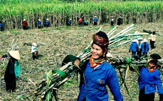 Bầu Đức bị phản đối nhập đường từ Lào vào Việt Nam