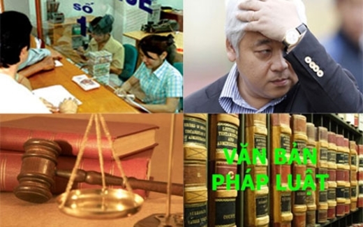 'Đau ruột' vì mất trăm tỷ bởi lý do trên trời