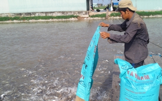 Nước nông nghiệp sao phải nhập nông sản?