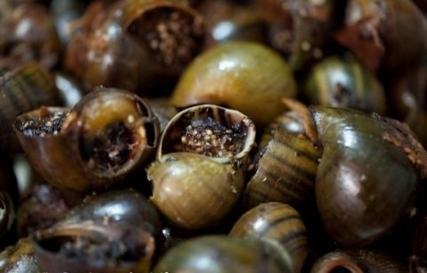 Sài Gòn: Địa ốc thì ế, thực ốc lại 'phất'