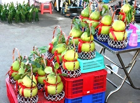 Mai dán tường, bưởi hồ lô... tràn phố