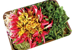 Về Bạc Liêu ăn mắm dì Tám