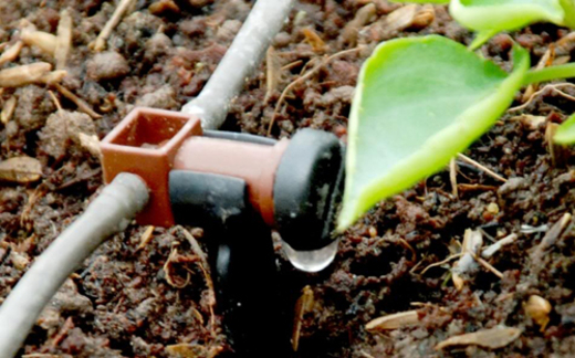 “Cố Thủ tướng Võ Văn Kiệt từng thích mô hình này”