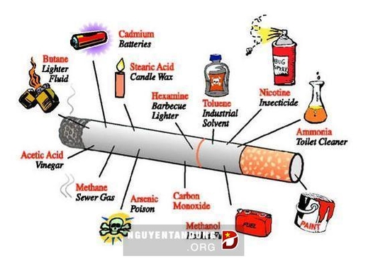 Hiện tượng học sinh dùng thuốc gây sung trong  trường đáng lo ngại.