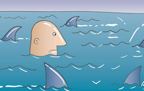 Vì đâu và về đâu Bianfishco?