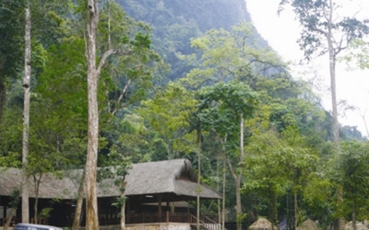 Vụ mang sổ đỏ di sản thế giới đi “cầm cố”: Chưa liên lạc được GĐ mang 'sổ đỏ' di sản đi cầm cố