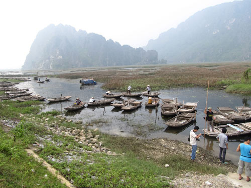 Tàn sát thiên nhiên