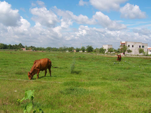 Có dấu hiệu cố ý làm trái?