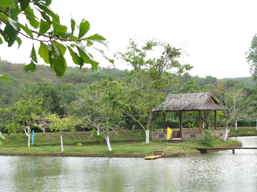 Vương quốc điều Bình Phước