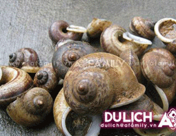 Về Mộc Châu nhớ ăn món ốc đá suối Bàng