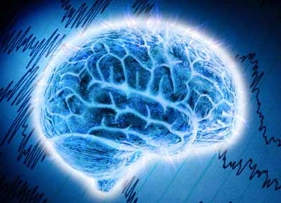 10 ngộ nhận về bộ não