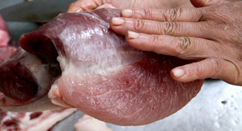 Tràn lan chất cấm dùng cho chăn nuôi