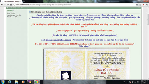 Công khai làm... bằng giả