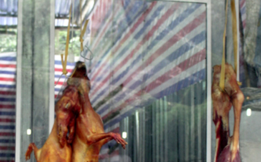 Khi thú rừng bị đưa lên bàn ăn