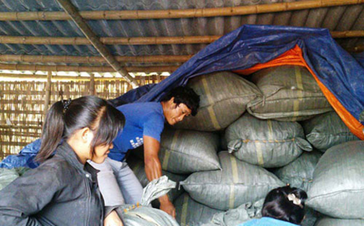 Dược liệu Trung Quốc bao sân