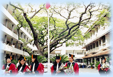 Sự phá sản trên thực tế của kỳ thi đại học