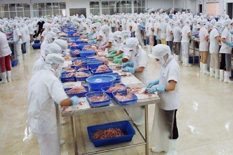 9000 tỷ cứu cá tra: Nông dân, DN bao giờ thấy tiền