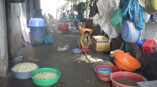 “Choáng” với thực phẩm tết