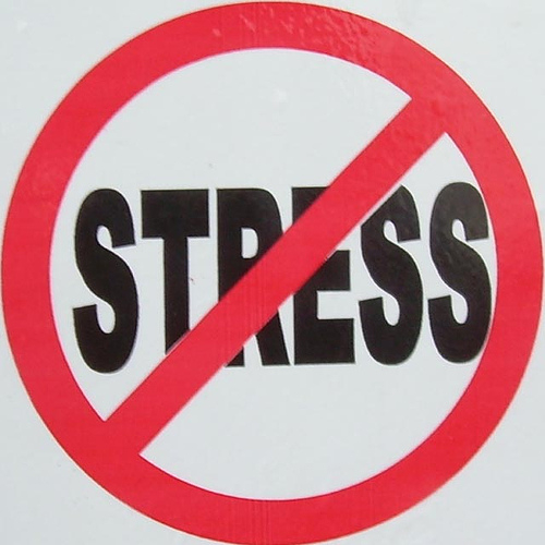 Mười bí quyết tránh stress