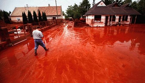 Giám sát, rồi sau đó?