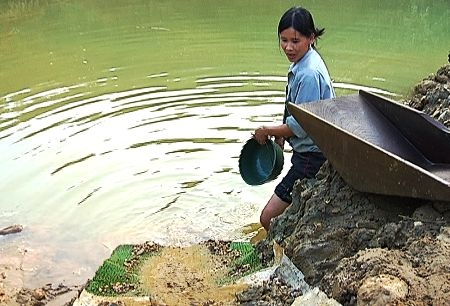 Vàng mắt vì vàng