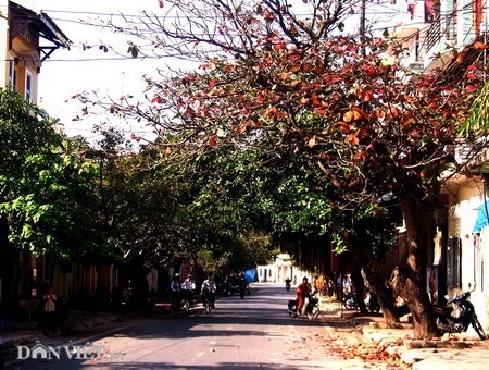 Thành cổ Sơn Tây - Tòa thành đá ong độc đáo