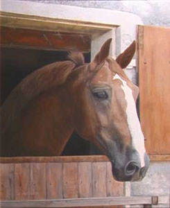 Sự thông minh của loài ngựa