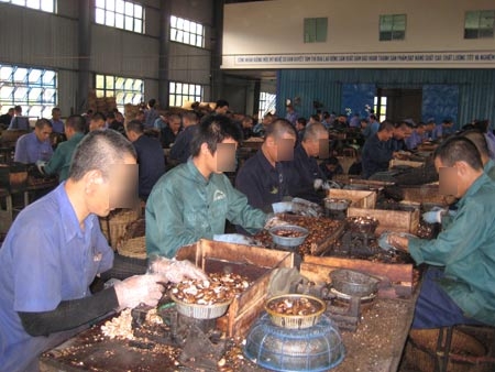 Tàn đời vì hàng trắng
